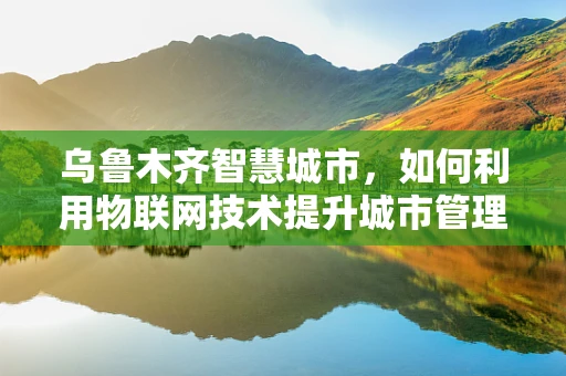 乌鲁木齐智慧城市，如何利用物联网技术提升城市管理效率？