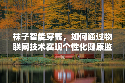 袜子智能穿戴，如何通过物联网技术实现个性化健康监测？