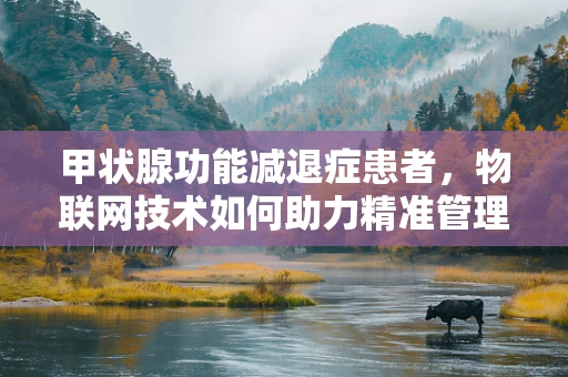 甲状腺功能减退症患者，物联网技术如何助力精准管理？