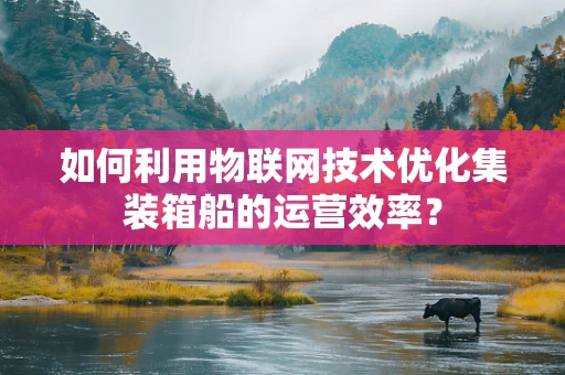 如何利用物联网技术优化集装箱船的运营效率？