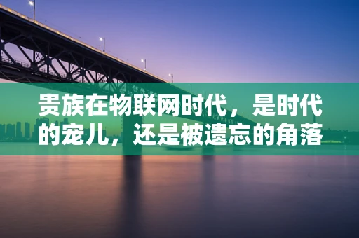 贵族在物联网时代，是时代的宠儿，还是被遗忘的角落？