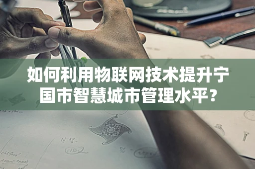 如何利用物联网技术提升宁国市智慧城市管理水平？