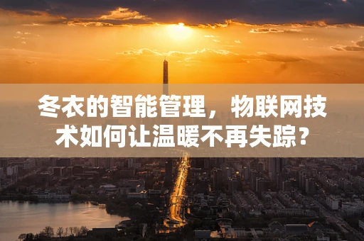 冬衣的智能管理，物联网技术如何让温暖不再失踪？