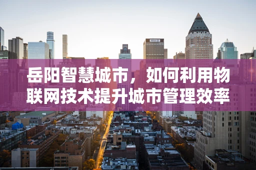 岳阳智慧城市，如何利用物联网技术提升城市管理效率？