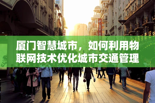 厦门智慧城市，如何利用物联网技术优化城市交通管理？