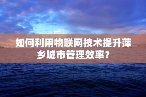 如何利用物联网技术提升萍乡城市管理效率？