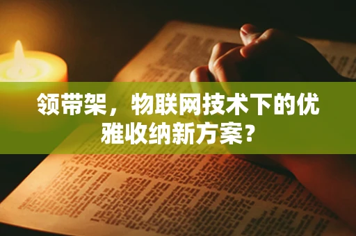 领带架，物联网技术下的优雅收纳新方案？