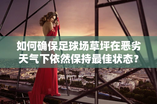如何确保足球场草坪在恶劣天气下依然保持最佳状态？