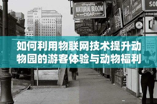 如何利用物联网技术提升动物园的游客体验与动物福利？