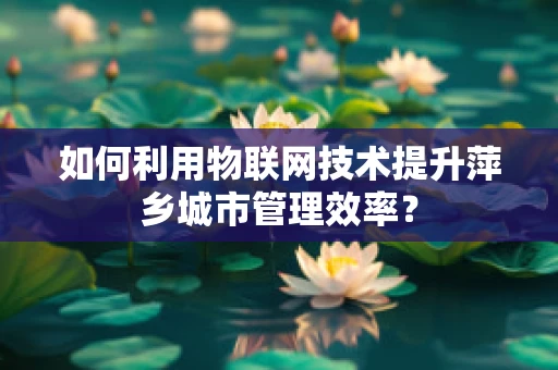 如何利用物联网技术提升萍乡城市管理效率？
