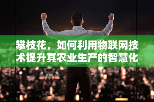 攀枝花，如何利用物联网技术提升其农业生产的智慧化水平？
