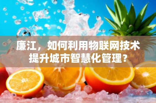廉江，如何利用物联网技术提升城市智慧化管理？