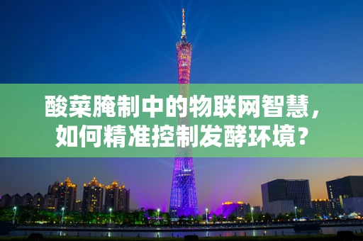 酸菜腌制中的物联网智慧，如何精准控制发酵环境？