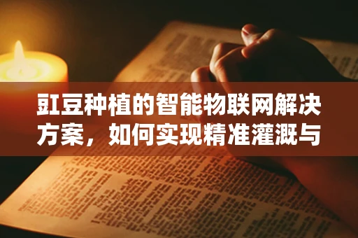 豇豆种植的智能物联网解决方案，如何实现精准灌溉与病虫害预警？