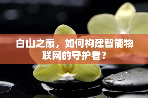 白山之巅，如何构建智能物联网的守护者？