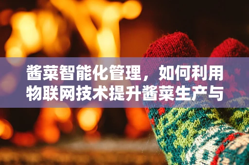 酱菜智能化管理，如何利用物联网技术提升酱菜生产与储存的效率？