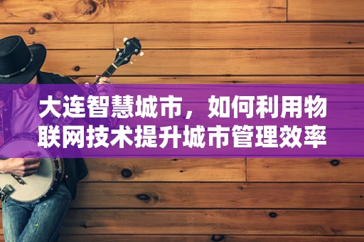 大连智慧城市，如何利用物联网技术提升城市管理效率？