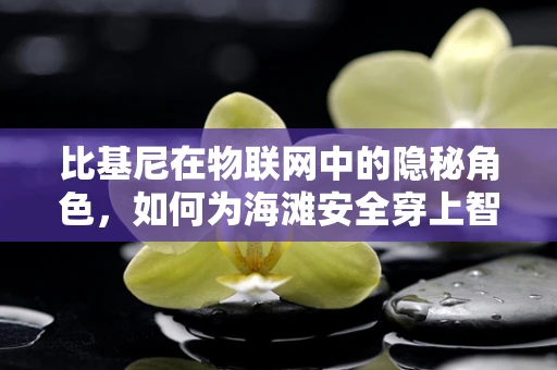 比基尼在物联网中的隐秘角色，如何为海滩安全穿上智能‘外衣’？
