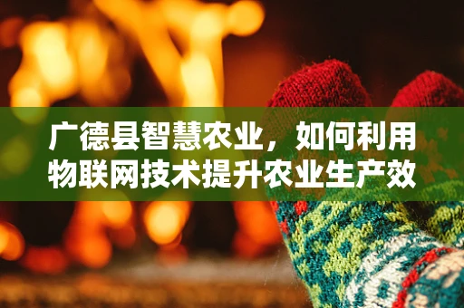 广德县智慧农业，如何利用物联网技术提升农业生产效率？