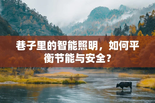 巷子里的智能照明，如何平衡节能与安全？