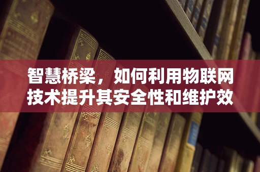 智慧桥梁，如何利用物联网技术提升其安全性和维护效率？
