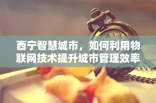 西宁智慧城市，如何利用物联网技术提升城市管理效率？