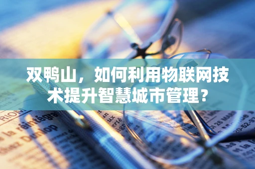 双鸭山，如何利用物联网技术提升智慧城市管理？