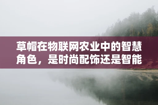 草帽在物联网农业中的智慧角色，是时尚配饰还是智能工具？