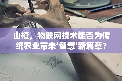 山楂，物联网技术能否为传统农业带来‘智慧’新篇章？