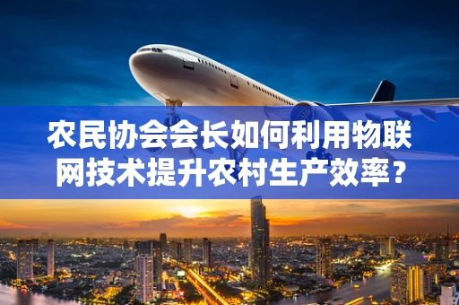农民协会会长如何利用物联网技术提升农村生产效率？
