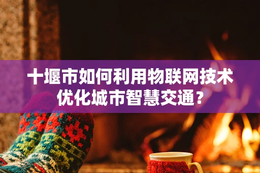 十堰市如何利用物联网技术优化城市智慧交通？