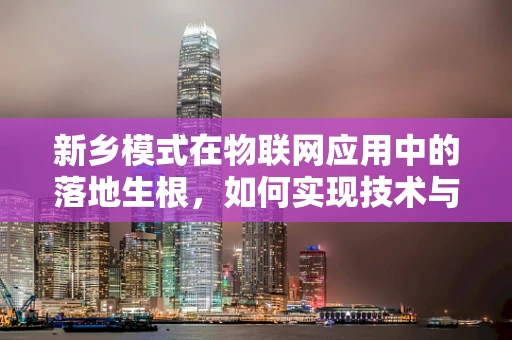 新乡模式在物联网应用中的落地生根，如何实现技术与地方特色的深度融合？