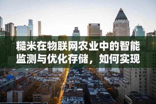 糙米在物联网农业中的智能监测与优化存储，如何实现精准管理？