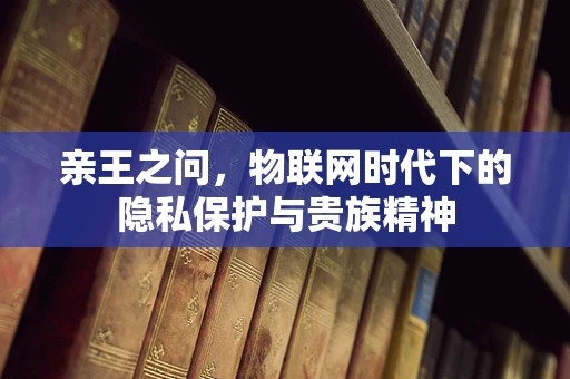 亲王之问，物联网时代下的隐私保护与贵族精神