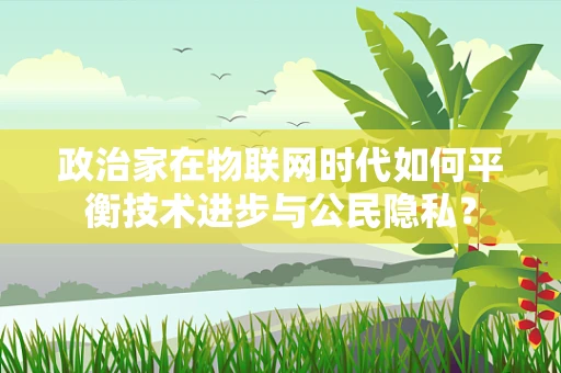 政治家在物联网时代如何平衡技术进步与公民隐私？