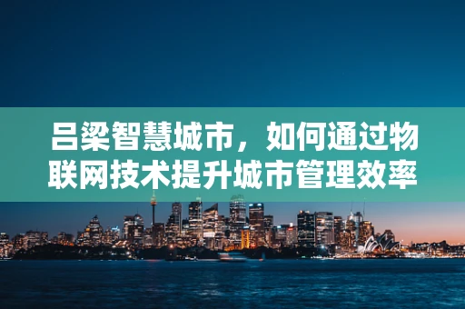 吕梁智慧城市，如何通过物联网技术提升城市管理效率？