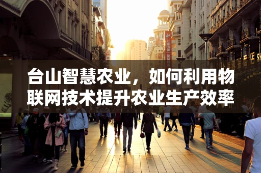台山智慧农业，如何利用物联网技术提升农业生产效率？