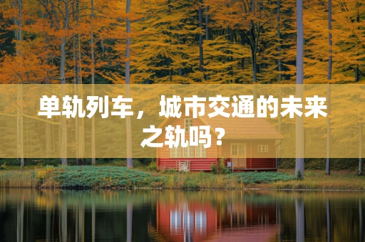 单轨列车，城市交通的未来之轨吗？