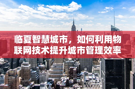 临夏智慧城市，如何利用物联网技术提升城市管理效率？