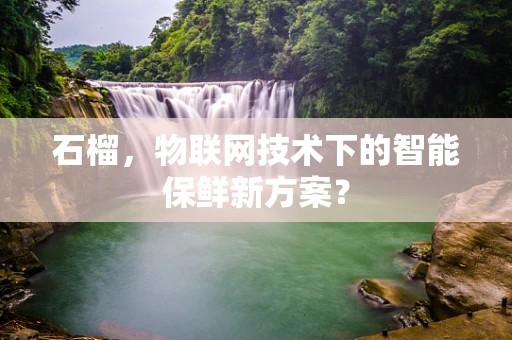 石榴，物联网技术下的智能保鲜新方案？
