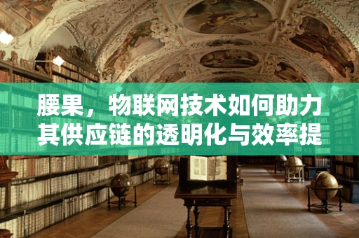 腰果，物联网技术如何助力其供应链的透明化与效率提升？