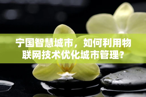 宁国智慧城市，如何利用物联网技术优化城市管理？