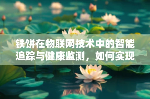 铁饼在物联网技术中的智能追踪与健康监测，如何实现？