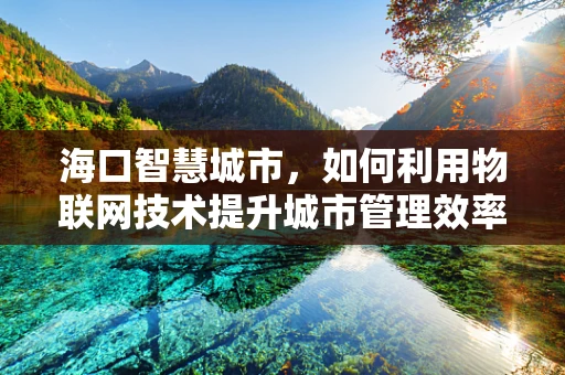 海口智慧城市，如何利用物联网技术提升城市管理效率？