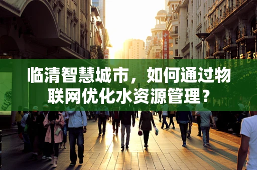 临清智慧城市，如何通过物联网优化水资源管理？