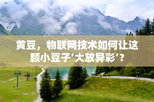 黄豆，物联网技术如何让这颗小豆子‘大放异彩’？