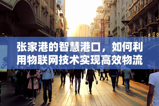 张家港的智慧港口，如何利用物联网技术实现高效物流管理？