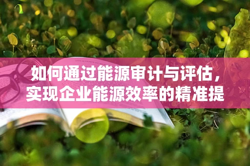 如何通过能源审计与评估，实现企业能源效率的精准提升？