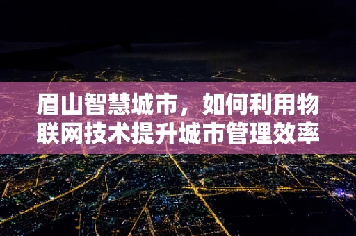眉山智慧城市，如何利用物联网技术提升城市管理效率？