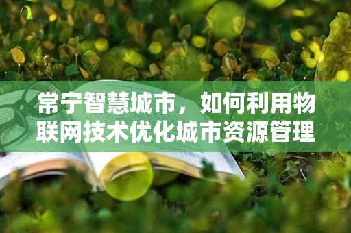 常宁智慧城市，如何利用物联网技术优化城市资源管理？